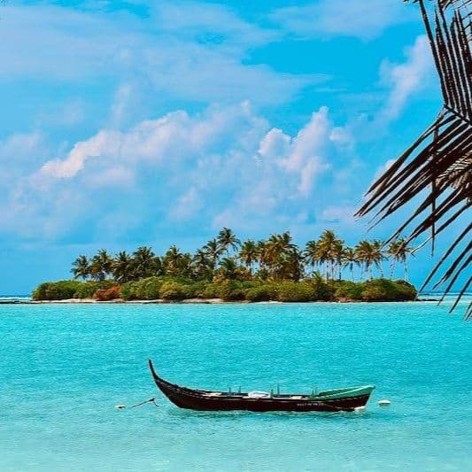The Lakshadeweep Islands Tourism Development Authority formed under the Central Tourism Ministry will start the Mangalore-Lakshadweep tourist liner service after few trial runs starting from Thursday.